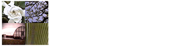Pantiful.com - Action Theory Nursery